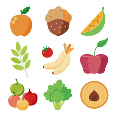 Natural food elements collections for business branding in white background