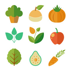 Natural food elements collections for business branding in white background