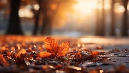Golden Glow Autumn Forest at Sunset with Vibrant Leaves