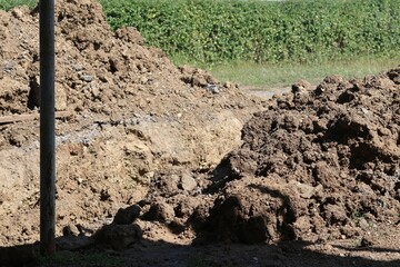 plowed field in the morning
