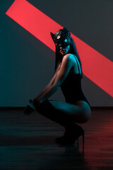 Portrait of a Woman in a Cat Mask and Handcuffs Showcasing a Seductive BDSM Aesthetic With a...