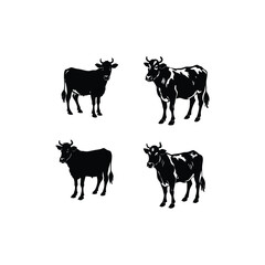 collection of cow 