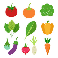 Natural vegetable elements collections Set for business branding in white background