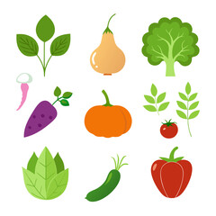 Natural vegetable elements collections Set for business branding in white background