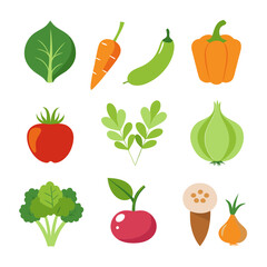 Natural vegetable elements collections Set for business branding in white background