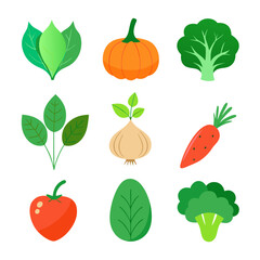 Natural vegetable elements collections Set for business branding in white background