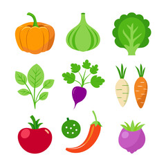 Natural vegetable elements collections Set for business branding in white background