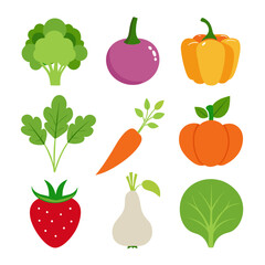 Natural vegetable elements collections Set for business branding in white background