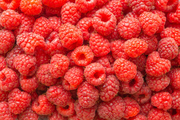 Ripe juicy raspberries as a texture