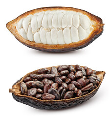 Fresh dark cocoa fruit isolated on white background. Cocoa pod Clipping path. Cocoa macro studio photo