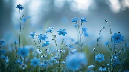 forget-me-not, A soft focus on delicate blue flowers swaying gently in a misty, ethereal landscape, creating a dreamy, tranquil atmosphere.