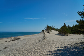 Sand dune at a beautiful beach in Slowinski National Park.