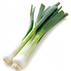 Three fresh green onions with white bulbs and long green stalks against a white background.