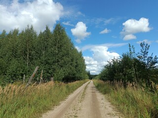 Road in forest in Siauliai county during sunny summer day. Oak and birch tree woodland. Sunny day with white clouds in blue sky. Bushes are growing in woods. Sandy road. Nature. Miskas.