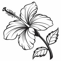 Flower Vector illustration