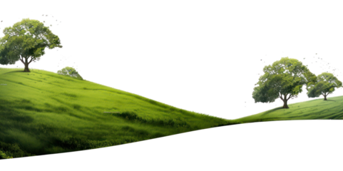 PNG  Serene green landscape with trees