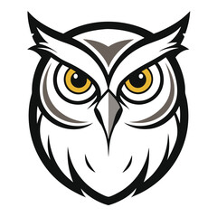 owl on white