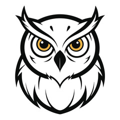 owl on white background
