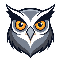 owl on white background