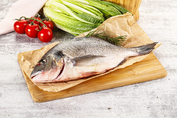 Raw dorada fish served rosemary