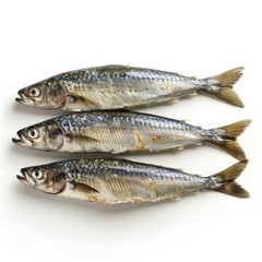 sardines, three whole fish lying side by side on a white surface. They appear to be fresh, with shiny, silvery scales and a bluish tint on their backs. The fish have their mouths slightly open and the