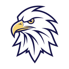 american bald eagle head