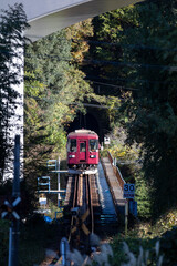 トンネルを抜けて鉄橋を渡る長良川鉄道の列車