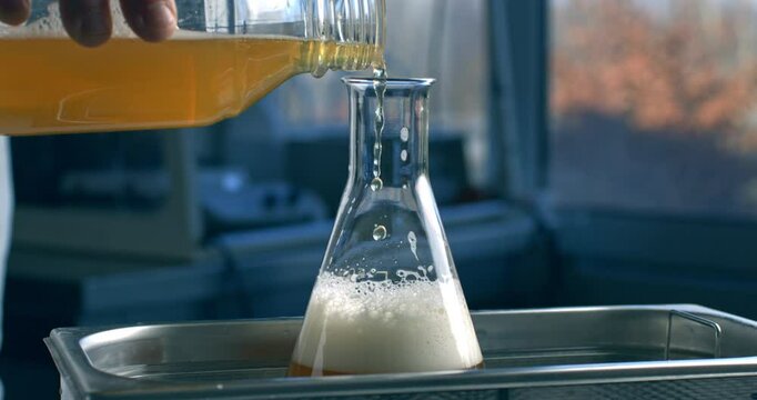 Super slow motion of lab worker pours beer into glass ware for quality testing, ensuring it meets production standards. The beer is carefully inspected in brewery with precision and dedication.
