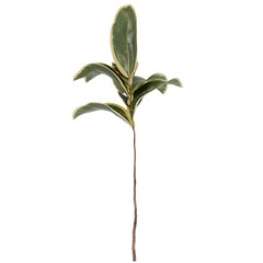 Artificial Ficus Plant Stem