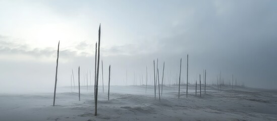 Foggy beach landscape featuring tall stakes immersed in misty atmosphere, creating a serene and mysterious coastal scene.