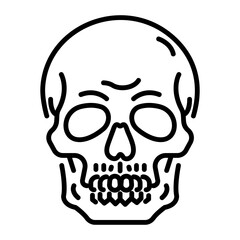 A linear icon of a human skull 