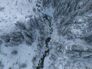 mountain river with fir trees in snow, view from above
