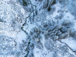 mountain river with fir trees in snow, view from above