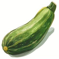 a zucchini, which is a type of summer squash. It has a long, cylindrical shape with a slightly bulbous end. The skin is smooth and dark green with lighter green streaks running along its length
