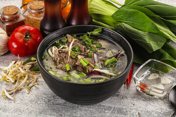 Vietnamese cuisine - Pho Bo soup with beef