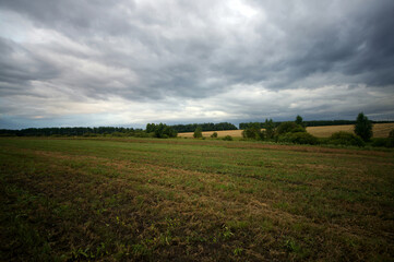 Field after harvesting grain on a cloudy day