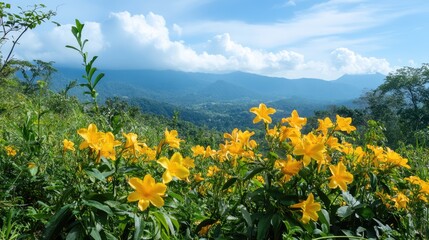 Vibrant Allamanda cathartica flowers in a lush landscape under blue skies showcasing the beauty of nature in sunny environments