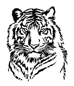 Tiger head car capot side sticker, vinyl sticker wall art capot