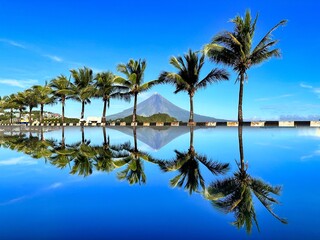 Fototapeta premium Legazpi City Boulevard reflection with a coconut tree and view of mayon volcano in legazpi city albay philippines