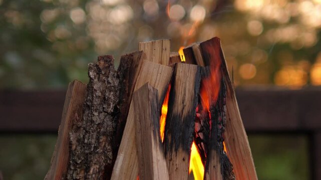 Close-up of burning logs in a bonfire. Firewood is kindled in a bonfire on the street in autumn. 