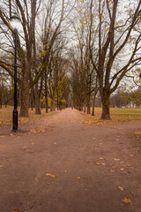 Fototapeta premium Vigeland Park, also known as Frogner Park, is one of Oslo, Norway's most popular and unique attractions. Path between trees in Vigeland Park on a foggy day