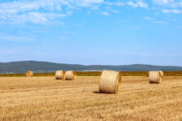 bale of straw on field
