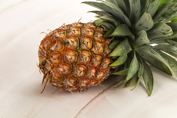 Tropical sweet exotic Pineapple fruit