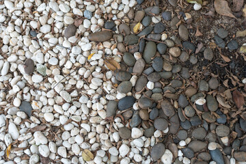White pebble and black pebble background. Top view
