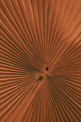 The intricate nature of paper cage lamps allows for endless possibilities for customization,...