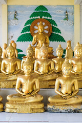 Obraz premium A serene temple in Thailand features rows of golden Buddha statues, radiating peace and spiritual beauty.