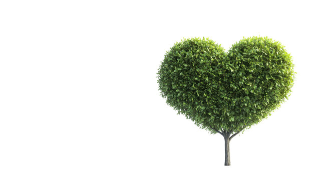 Fototapeta Heart-Shaped Tree with Lush Green Foliage Symbolizing Love, Nature and Eco-Friendliness Ideal for Romantic or Environmental Themes in Stock Photography