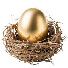 Obraz premium Golden Egg in Nest: Financial Security and Prosperity 
