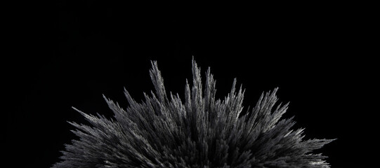 Fototapeta premium Reaction of iron dust to a magnetic field. Iron filings spikes. Neodymium magnet. Isolated on a black background.