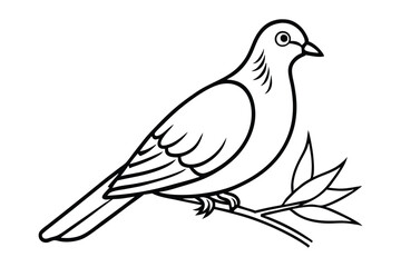 A dove line art vector illustration.eps